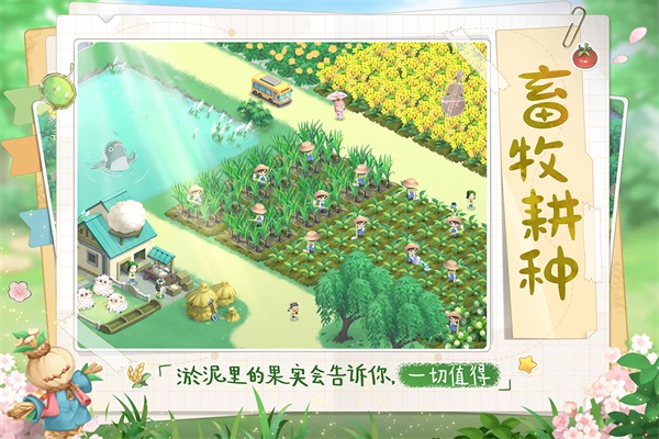 向往的生活正版2