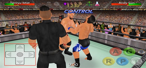 摔跤革命3d圖3