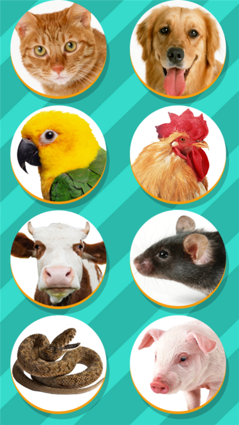 猫狗翻译器免费版图2