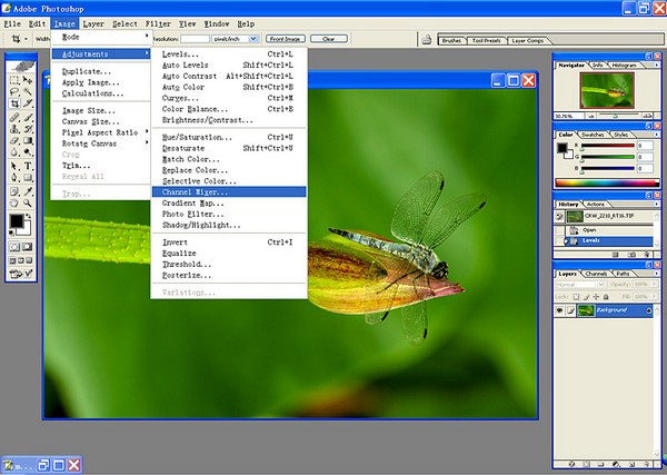 Photoshop精简版下载