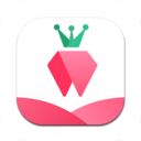 树莓小说免费版本