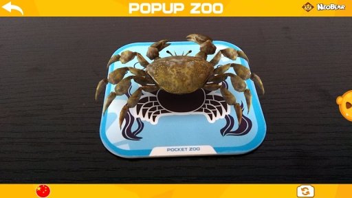 口袋动物园安卓版图2