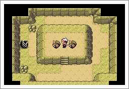 口袋妖怪漆黑的魅影5.0全流程攻略大全 一周目图文通关技巧分享