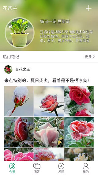 花帮主识花免费版图5
