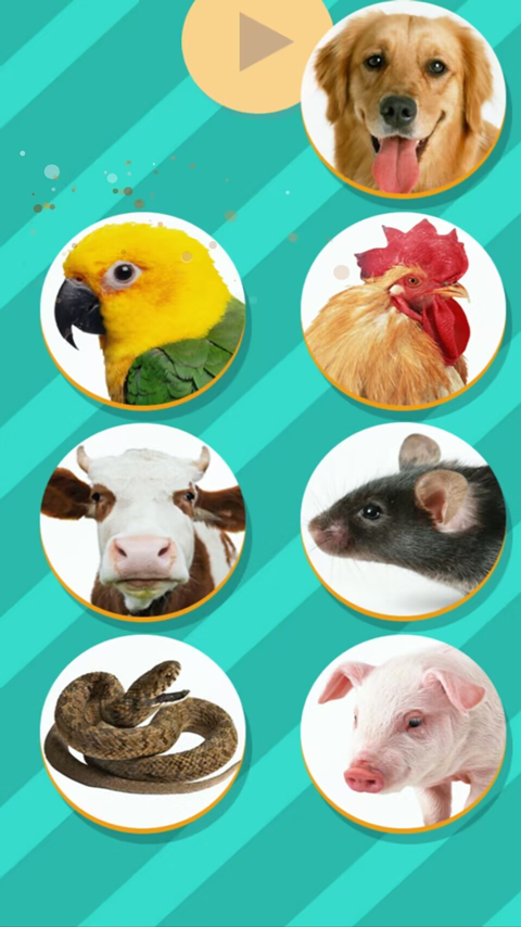 猫狗翻译器免费版图4