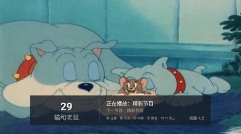 大麦盒子软件TV最新版图3