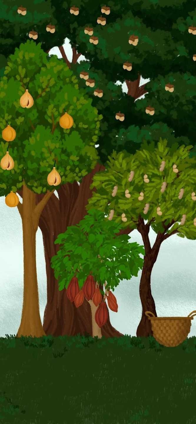 女巫的魔法商店中文版圖2